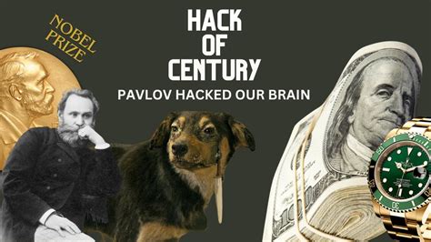 This game offers a satisfying VR experience with its near realistic environments and weapons, both on the solo and. . Pavlov hack